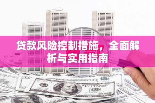 新界贷款风险控制措施，全面解析与实用指南