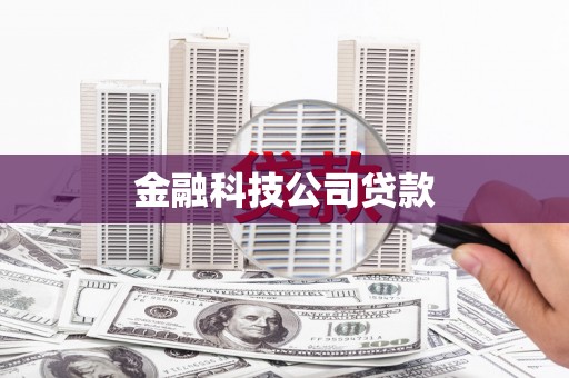 新界金融科技公司贷款