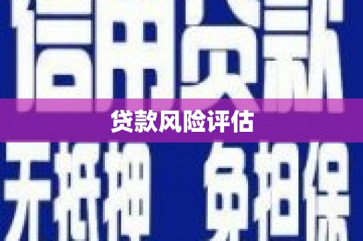 新界贷款风险评估