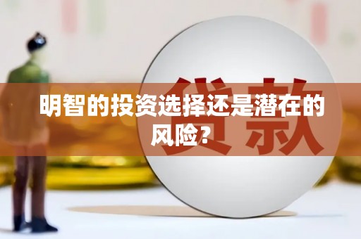 新界明智的投资选择还是潜在的风险？