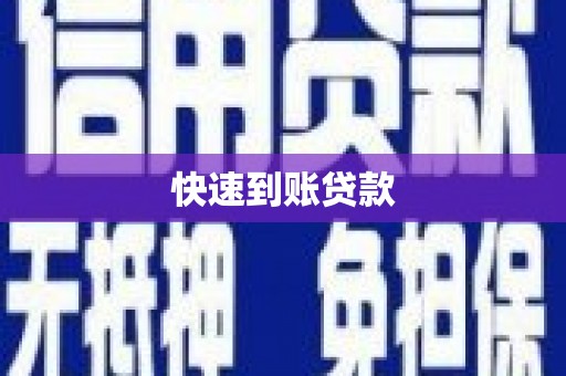 新界快速到账贷款