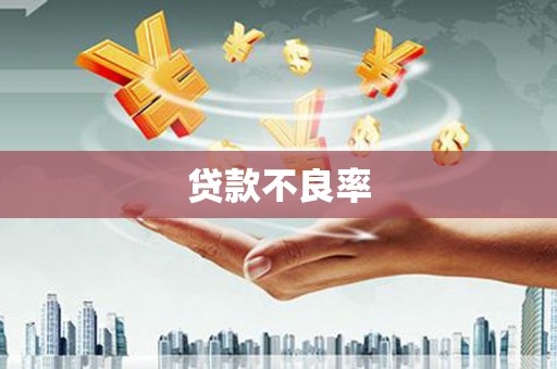 新界贷款不良率