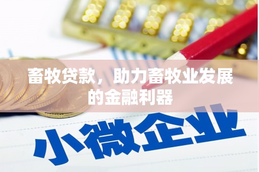 新界畜牧贷款，助力畜牧业发展的金融利器