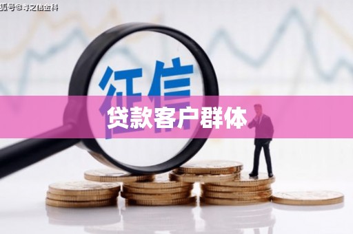 新界贷款客户群体