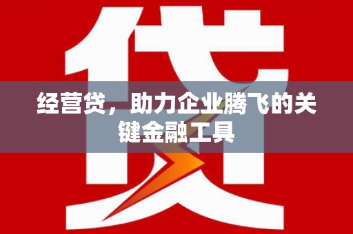 新界经营贷，助力企业腾飞的关键金融工具