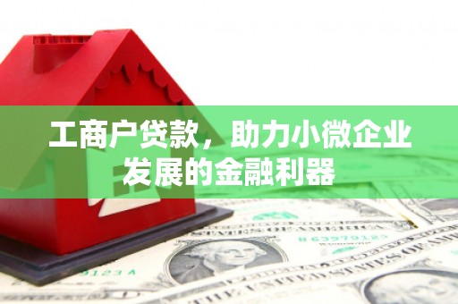 新界工商户贷款，助力小微企业发展的金融利器