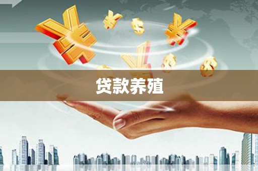 新界贷款养殖