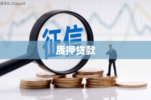新界质押贷款