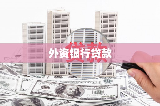 新界外资银行贷款