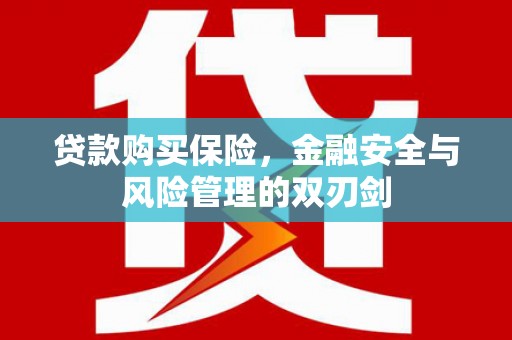 新界贷款购买保险，金融安全与风险管理的双刃剑