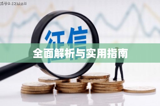 新界全面解析与实用指南