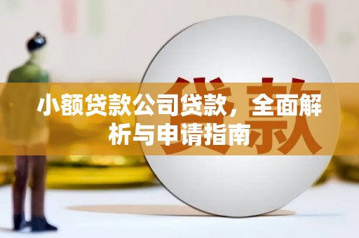 新界小额贷款公司贷款，全面解析与申请指南