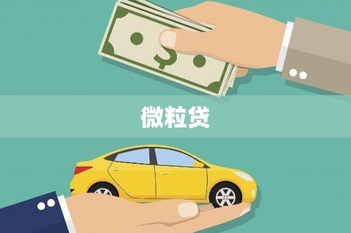 新界微粒贷