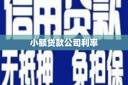 新界小额贷款公司利率
