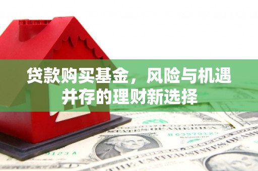 新界贷款购买基金，风险与机遇并存的理财新选择