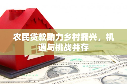 新界农民贷款助力乡村振兴，机遇与挑战并存