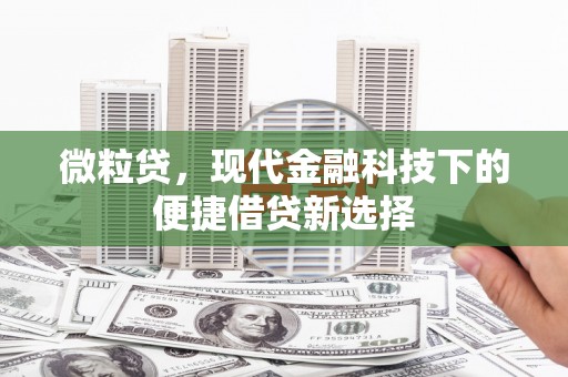 新界微粒贷，现代金融科技下的便捷借贷新选择