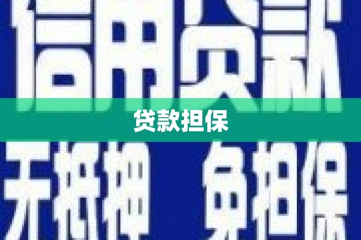 新界贷款担保