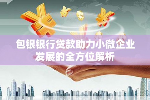 新界包银银行贷款助力小微企业发展的全方位解析
