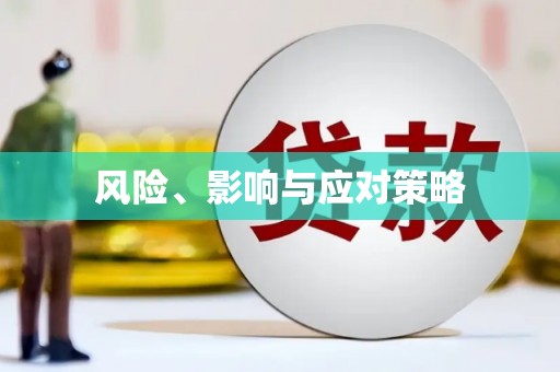 新界风险、影响与应对策略