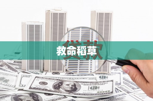 新界救命稻草