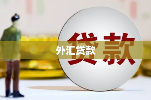 新界外汇贷款