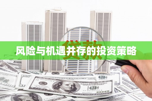 新界风险与机遇并存的投资策略