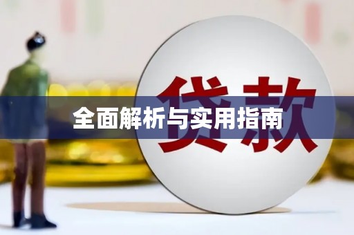 新界全面解析与实用指南