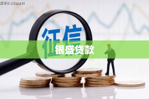 新界银盛贷款
