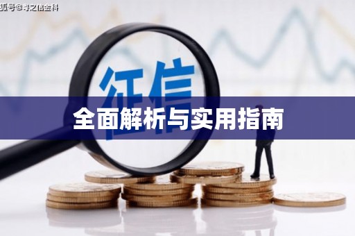 新界全面解析与实用指南