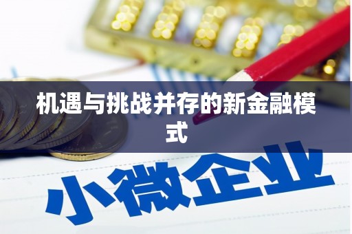 新界机遇与挑战并存的新金融模式