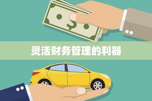 新界灵活财务管理的利器