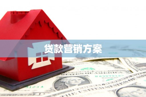 新界贷款营销方案