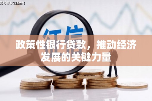 新界政策性银行贷款，推动经济发展的关键力量