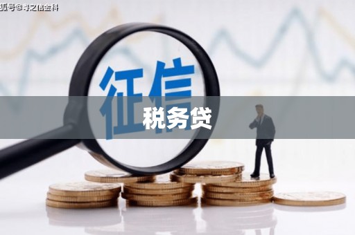 新界税务贷