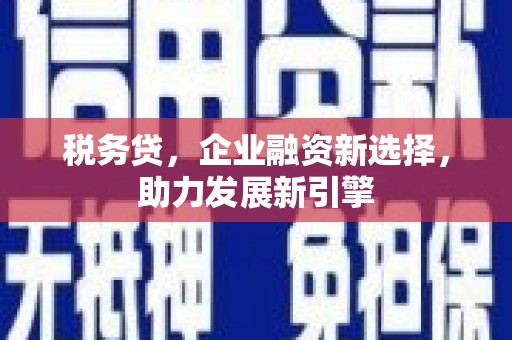 新界税务贷，企业融资新选择，助力发展新引擎