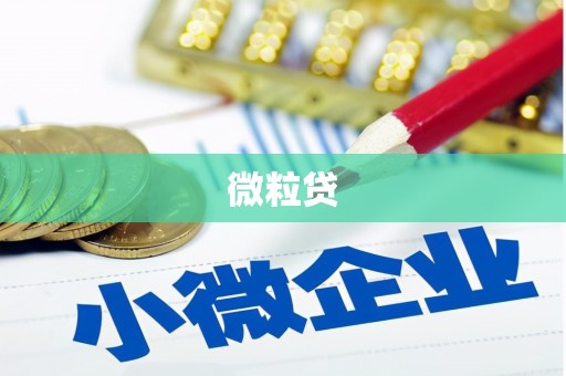 新界微粒贷