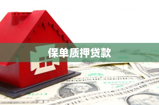 新界保单质押贷款