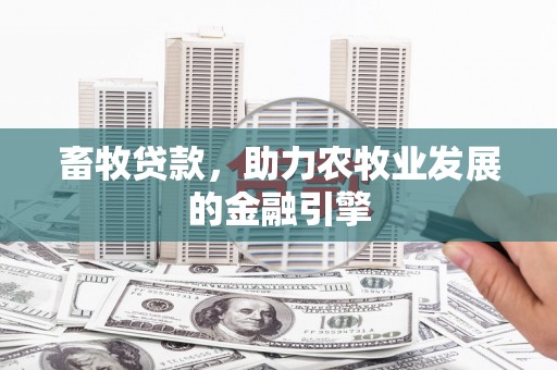 新界畜牧贷款，助力农牧业发展的金融引擎