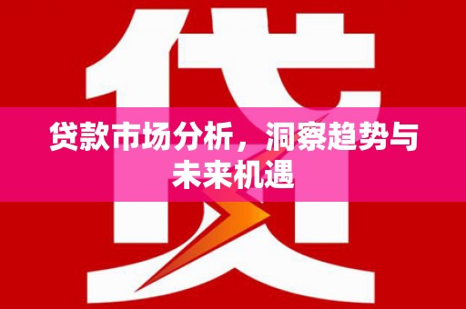 新界贷款市场分析，洞察趋势与未来机遇