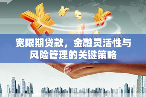 新界宽限期贷款，金融灵活性与风险管理的关键策略