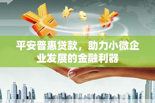 新界平安普惠贷款，助力小微企业发展的金融利器