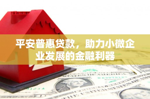 新界平安普惠贷款，助力小微企业发展的金融利器