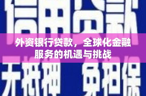 新界外资银行贷款，全球化金融服务的机遇与挑战