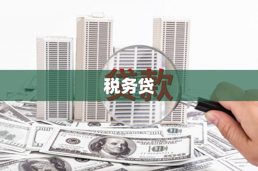 新界税务贷