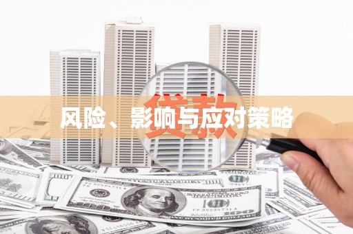 新界风险、影响与应对策略