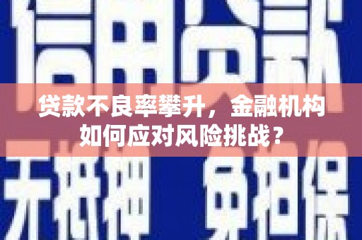 新界贷款不良率攀升，金融机构如何应对风险挑战？