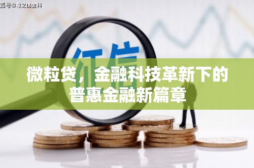 新界微粒贷，金融科技革新下的普惠金融新篇章