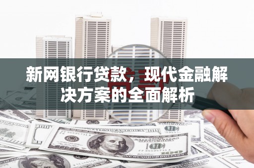 新界新网银行贷款，现代金融解决方案的全面解析