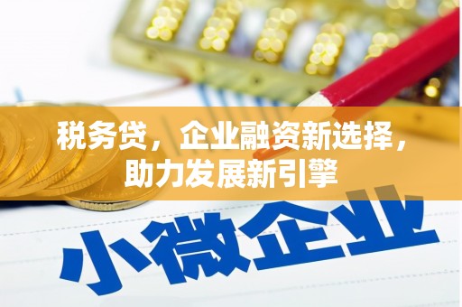 新界税务贷，企业融资新选择，助力发展新引擎